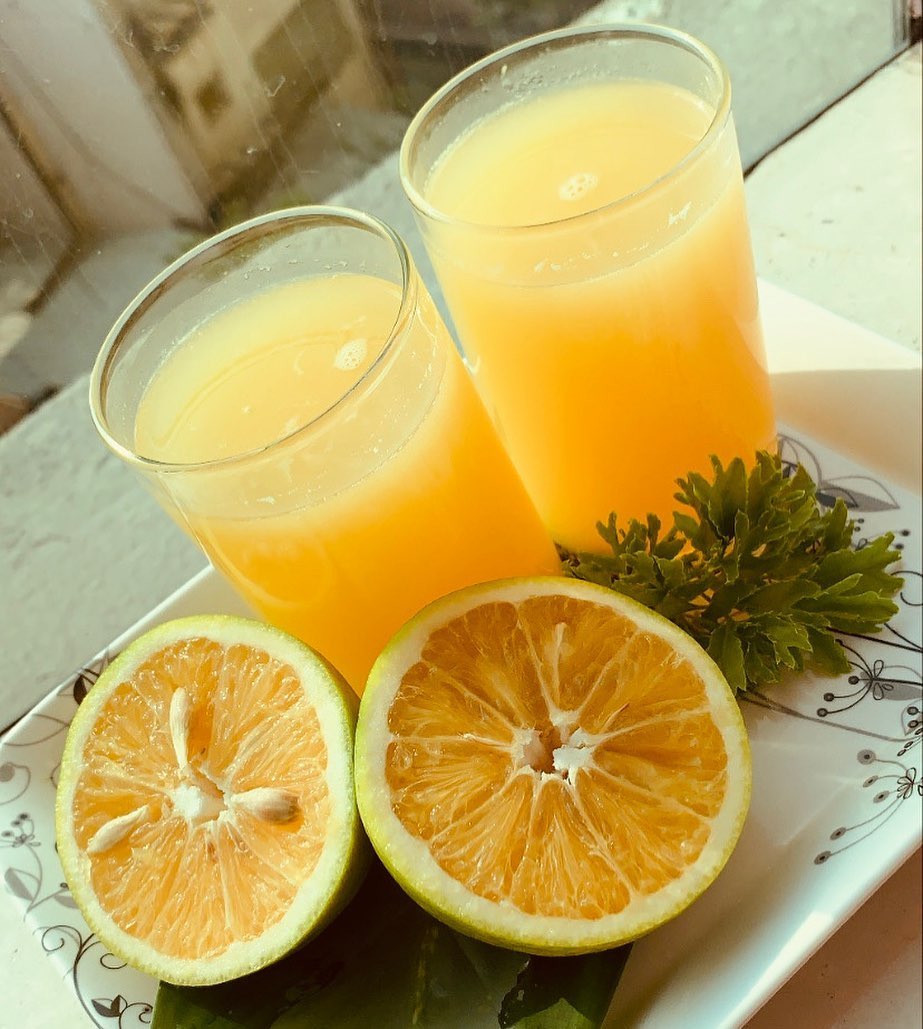Sweet Orange Tree (Musambi / Malta)