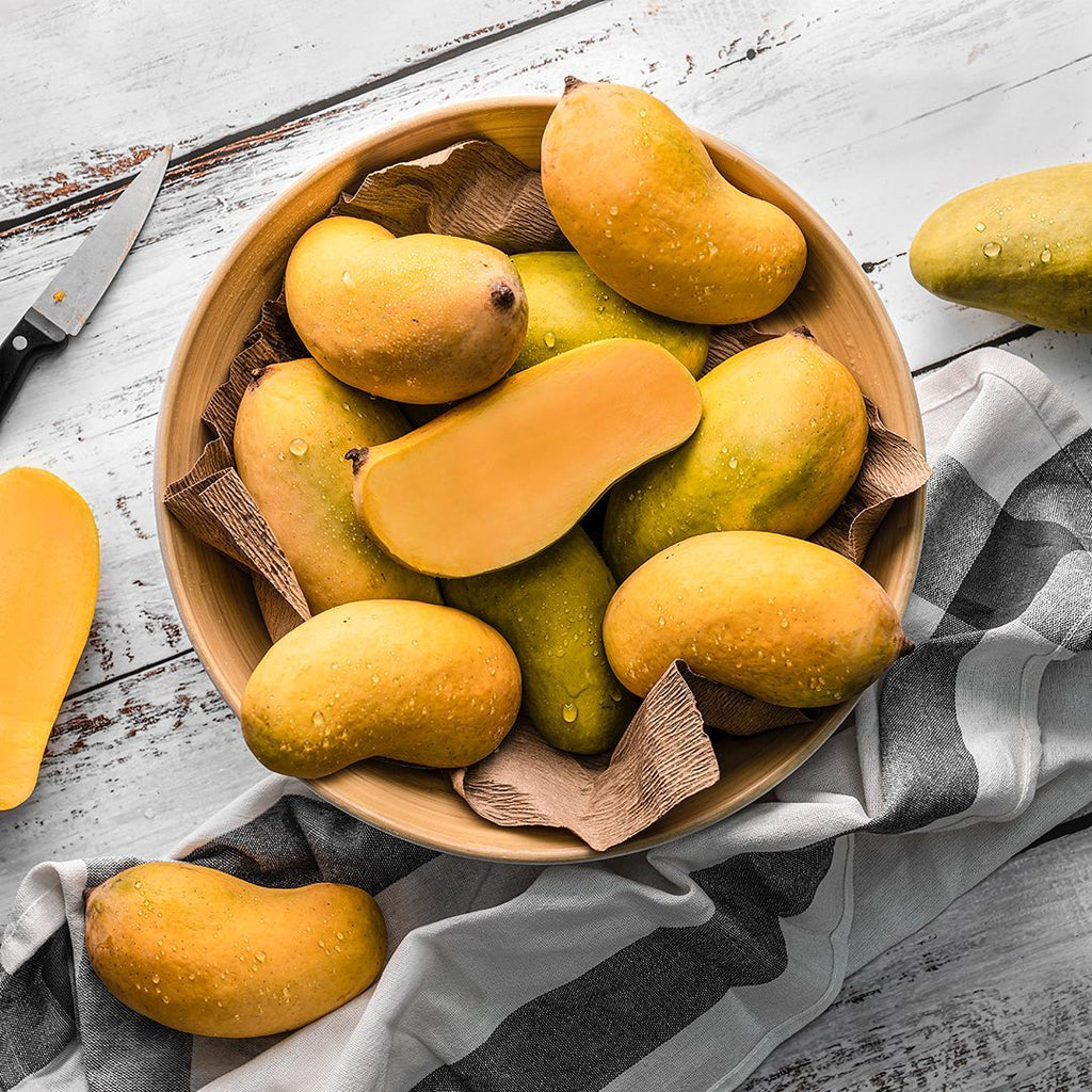 Mango Tree (Sindhri Variety – King of Early Mangoes)