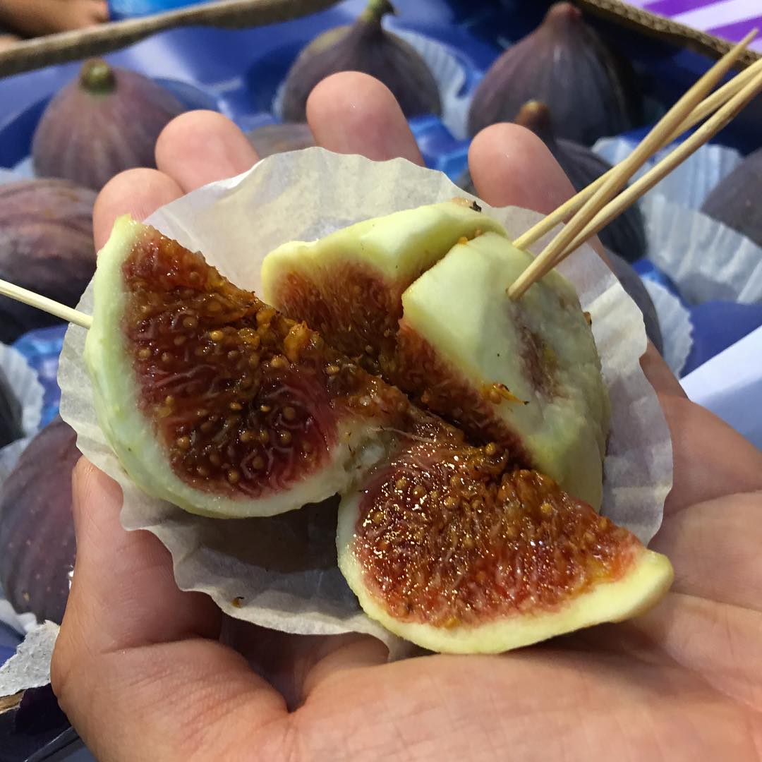 Black Fig Tree