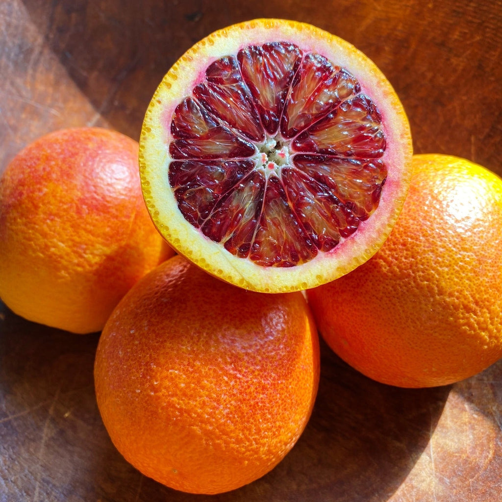 Blood Orange Plant (Moro/Sanguinelli)