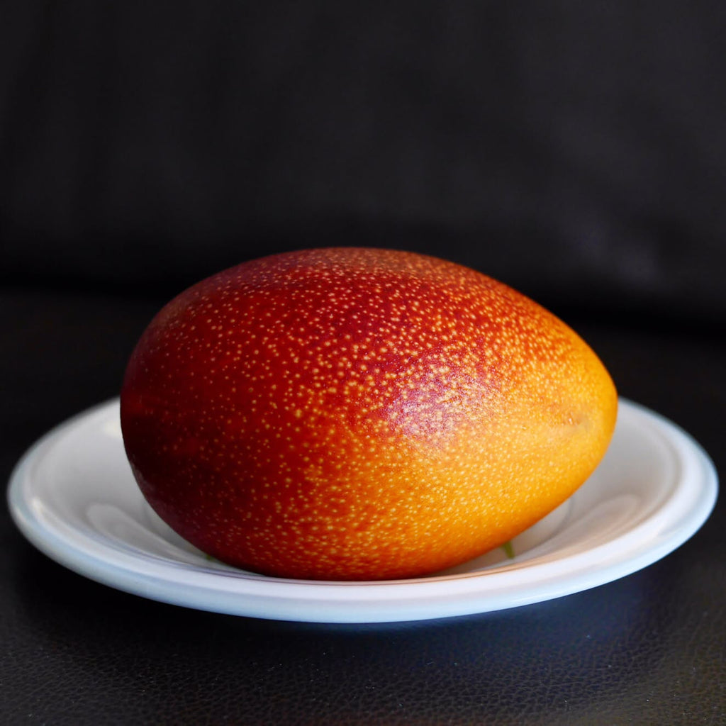 Mango Tree (Miyazaki Variety – The World's Most Luxurious Mango)