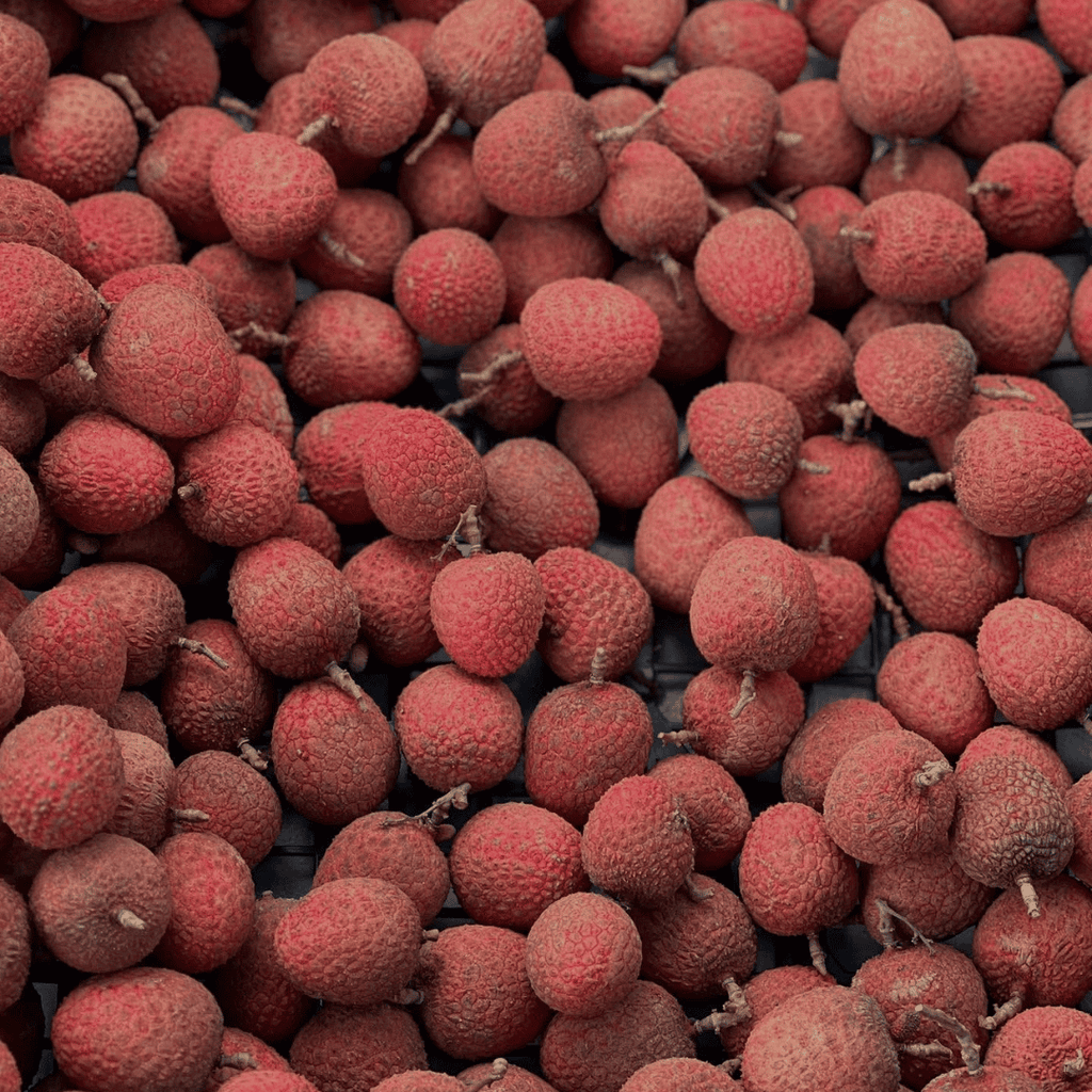 Lychee Tree