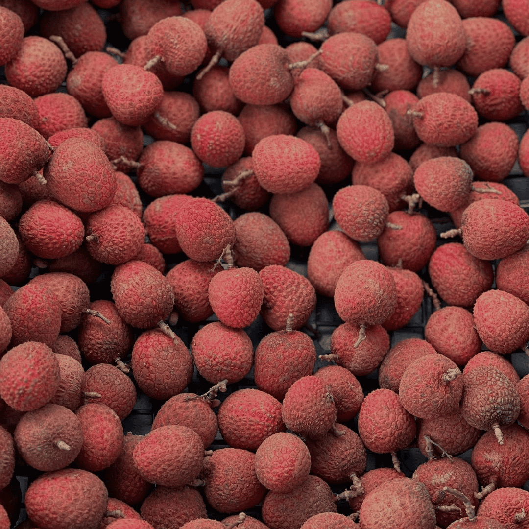Lychee Tree