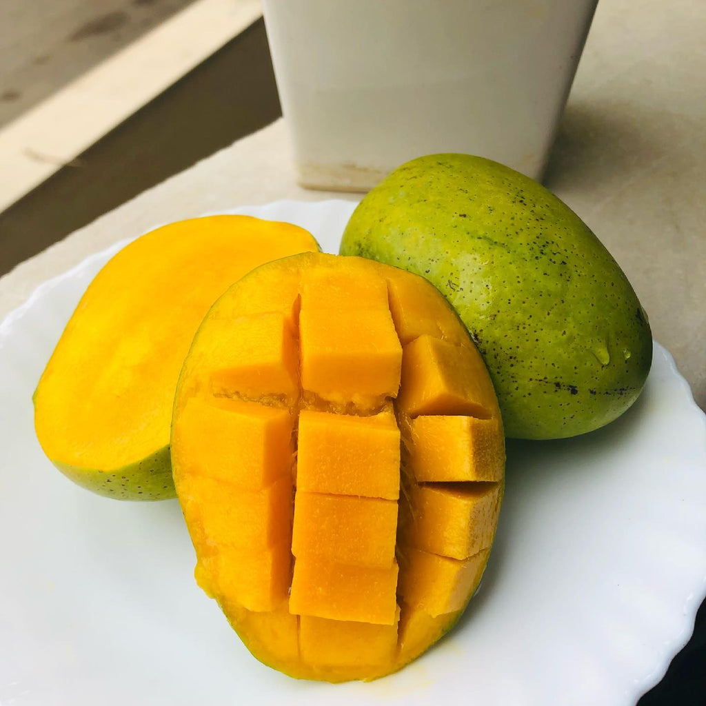 Mango Tree (Anwar Ratol Variety – Pakistan’s Most Loved Mango)