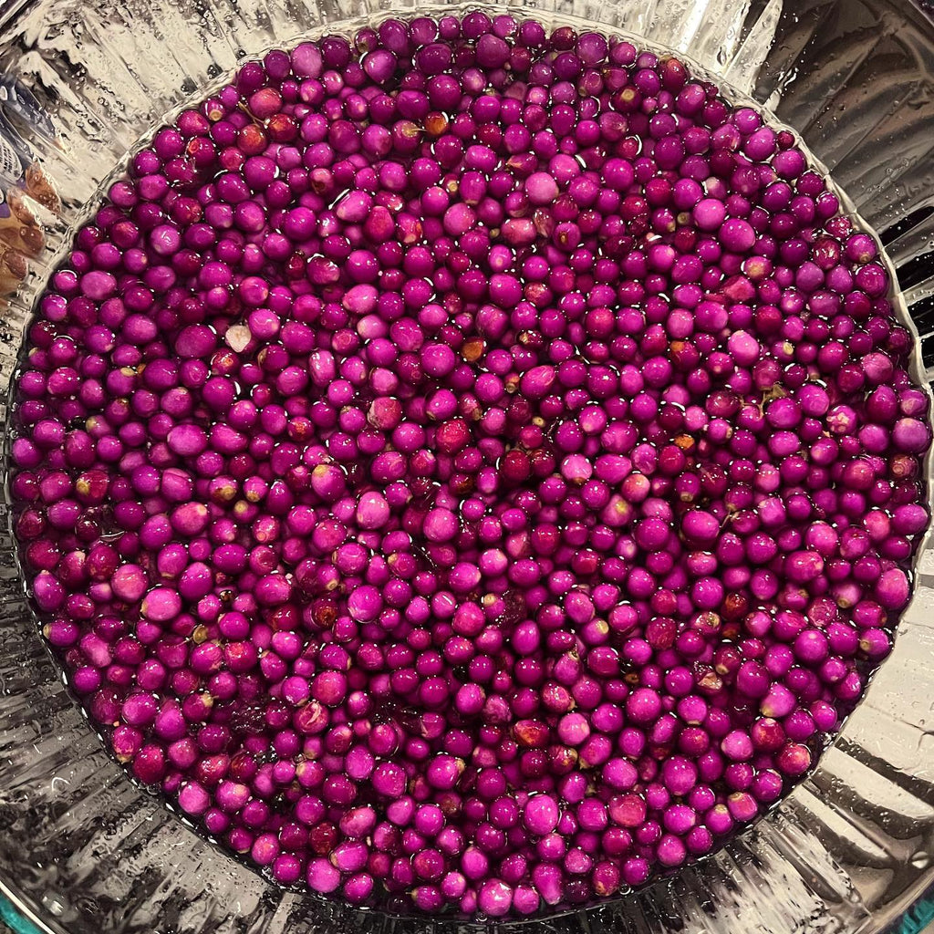 American Beautyberry Shrub -Callicarpa americana