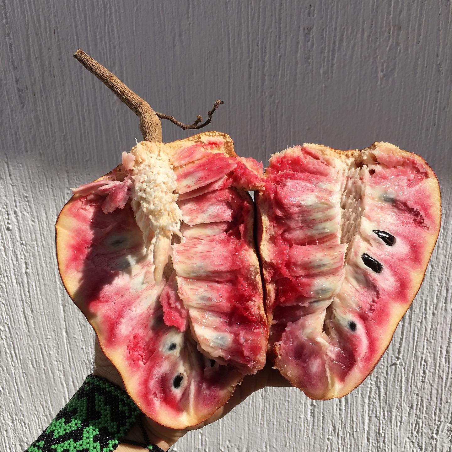 Custard Apple Tree