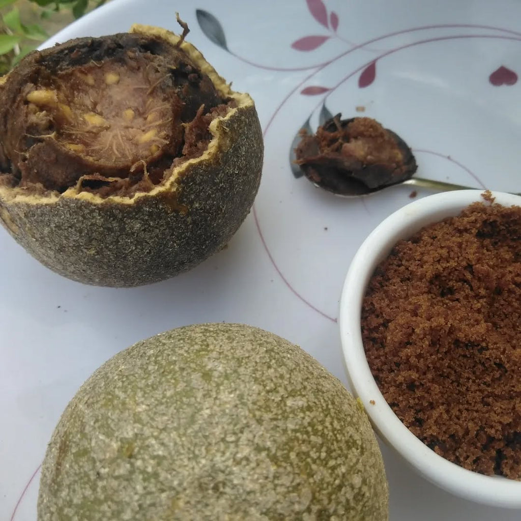 Indian Bael Tree (Wood Apple – Bel Patta)