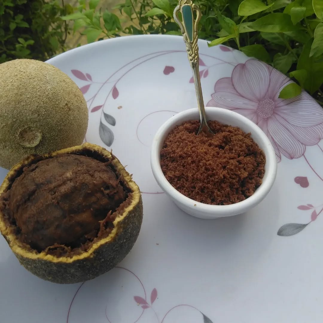 Indian Bael Tree (Wood Apple – Bel Patta)