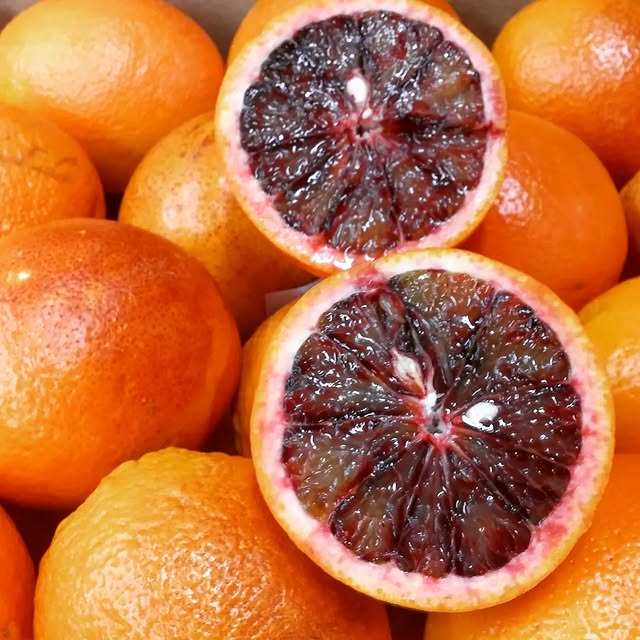 Blood Orange Plant (Moro/Sanguinelli)