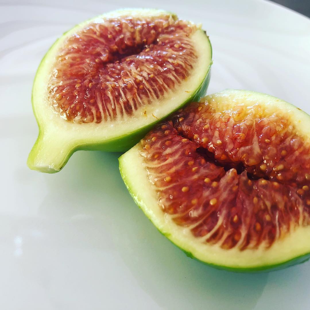 White Fig Tree