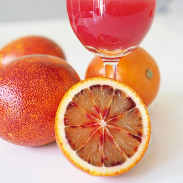 Blood Orange Plant (Moro/Sanguinelli)