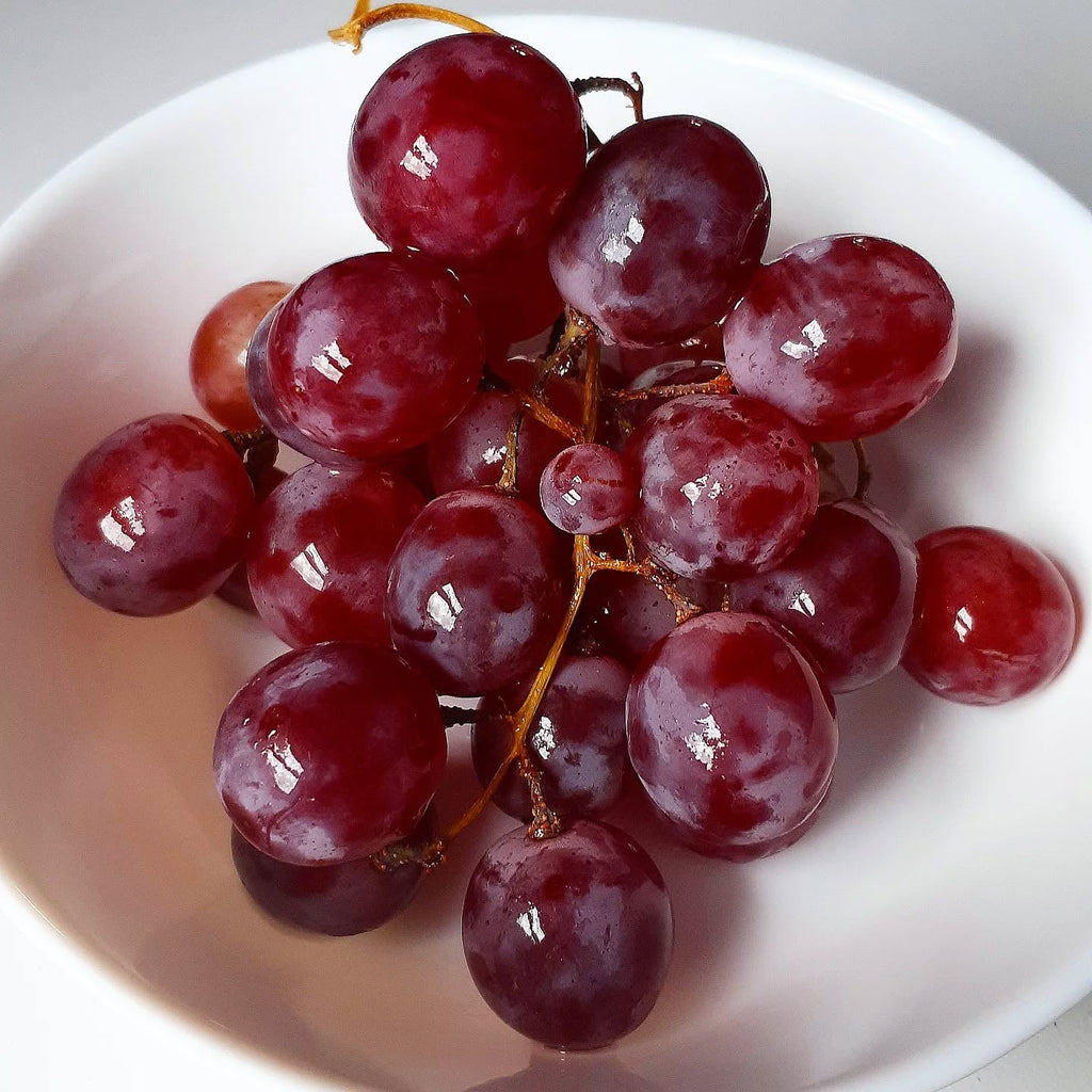 Red Toffee Grape Vine (Vitis vinifera – Sweet Candy-Like Red Grapes)