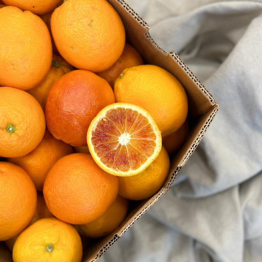 Sanguinello Orange Plant in Pakistan