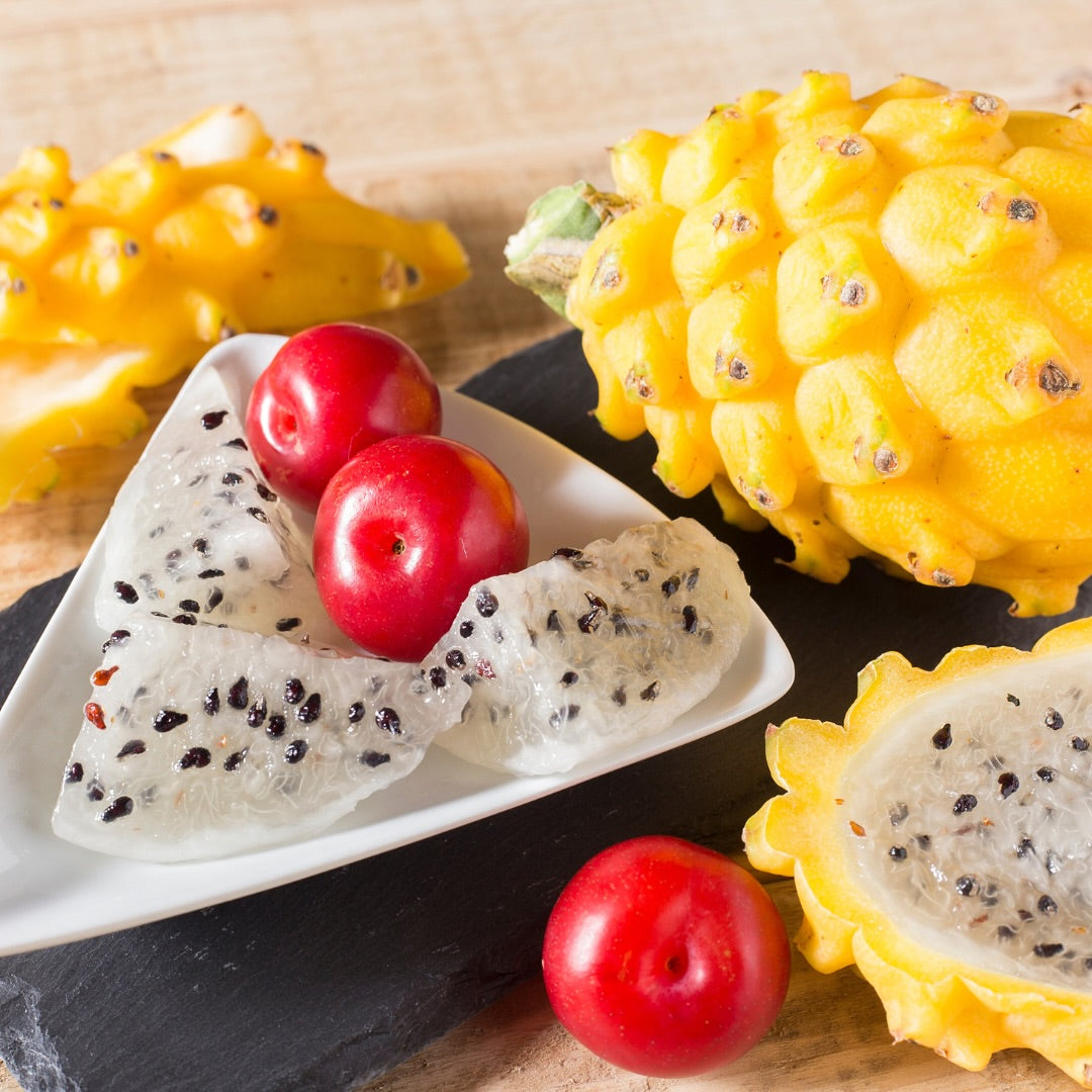 Dragon Fruit Plant (Yellow Variety – Selenicereus megalanthus)