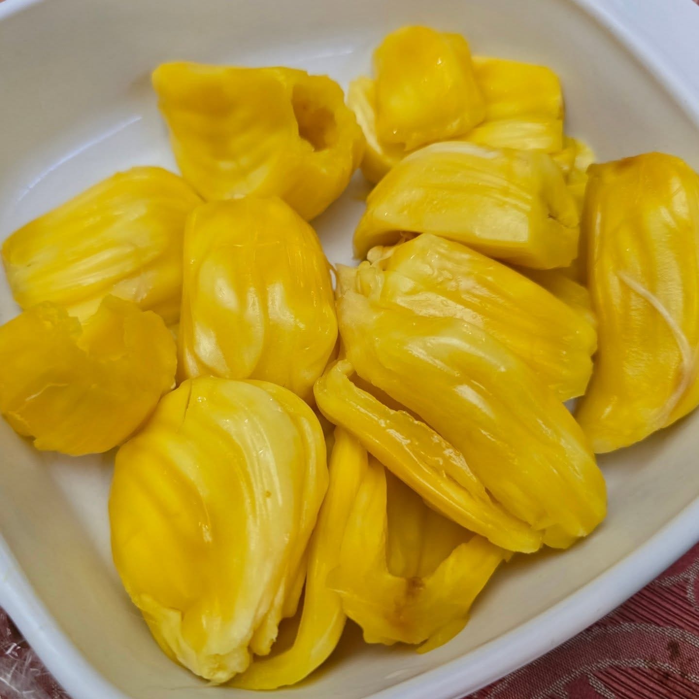 Jackfruit Tree (Kathal)