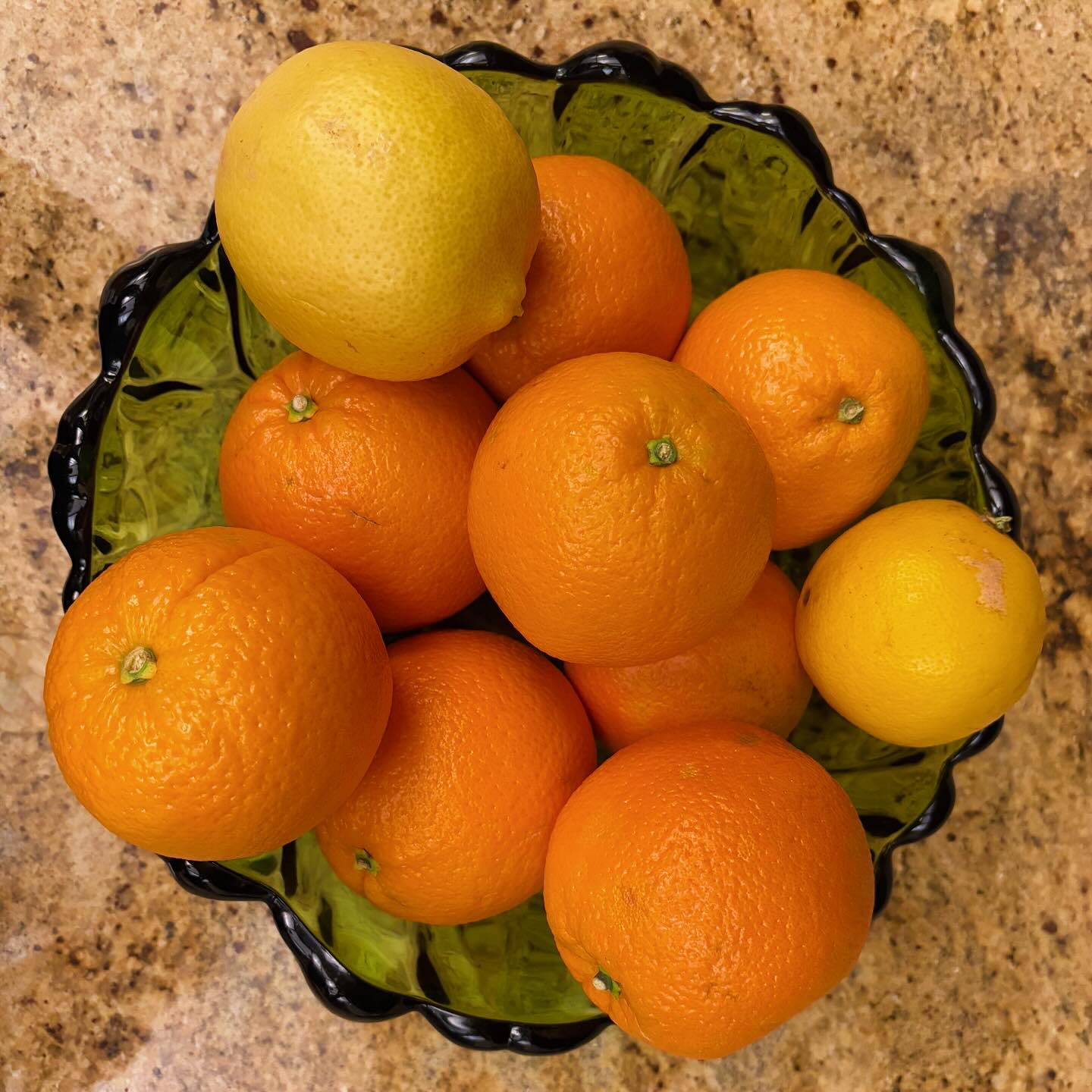 Malta Tree (Sweet Orange)