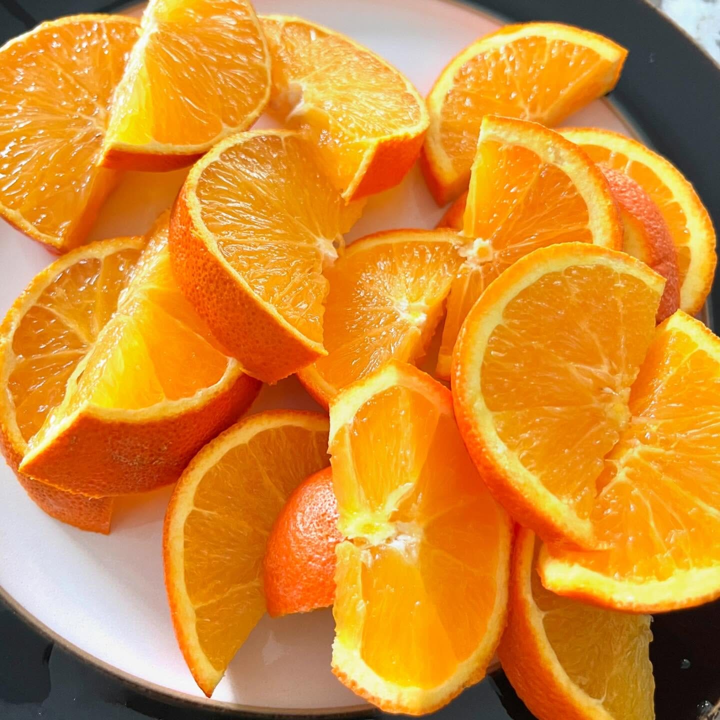 Malta Tree (Sweet Orange)