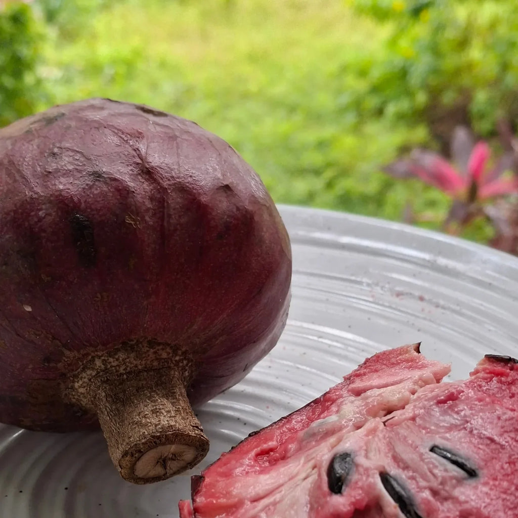 Custard Apple Tree