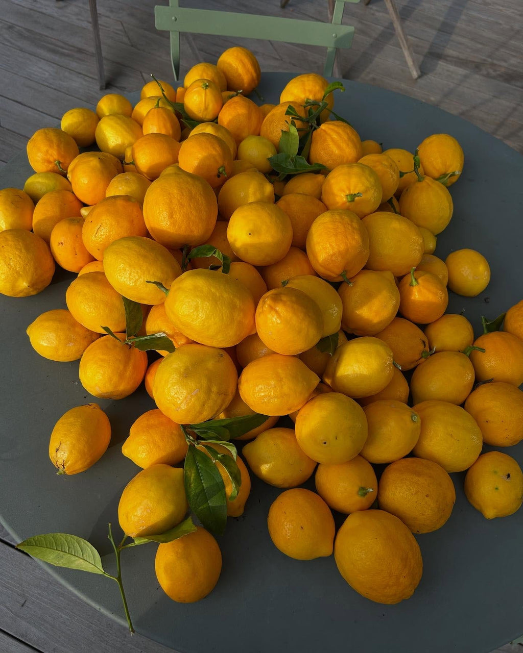 Meyer Lemon