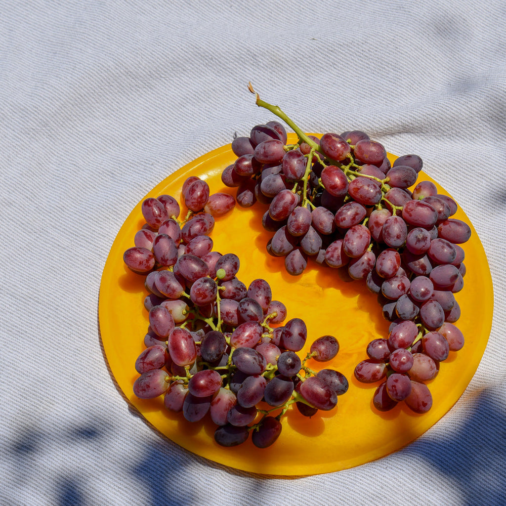 Red Toffee Grape Vine (Vitis vinifera – Sweet Candy-Like Red Grapes)