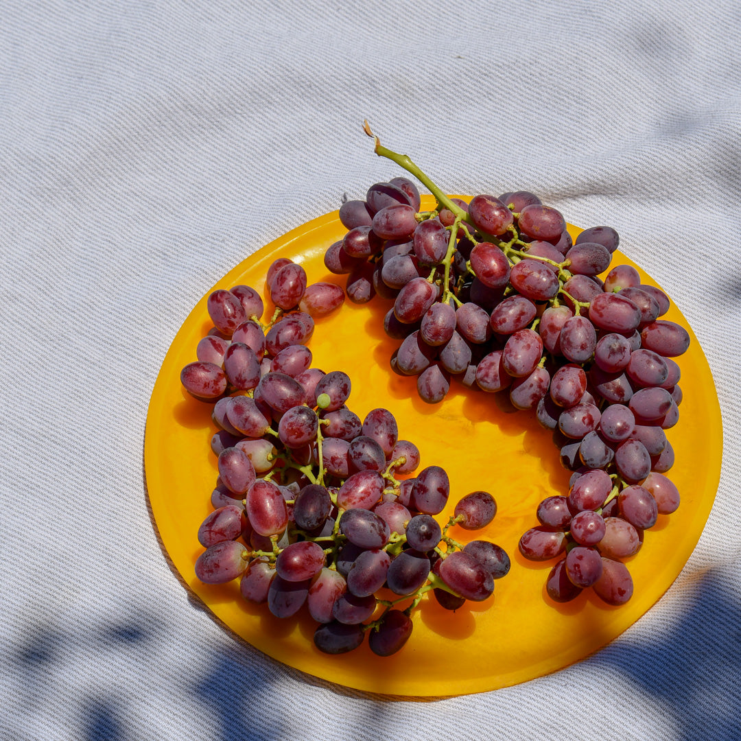 Red Toffee Grape Vine (Vitis vinifera – Sweet Candy-Like Red Grapes)