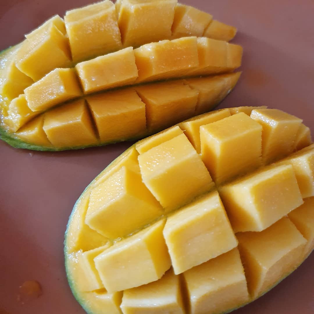 Mango Tree (Dussehri Variety – Northern Indian Origin)