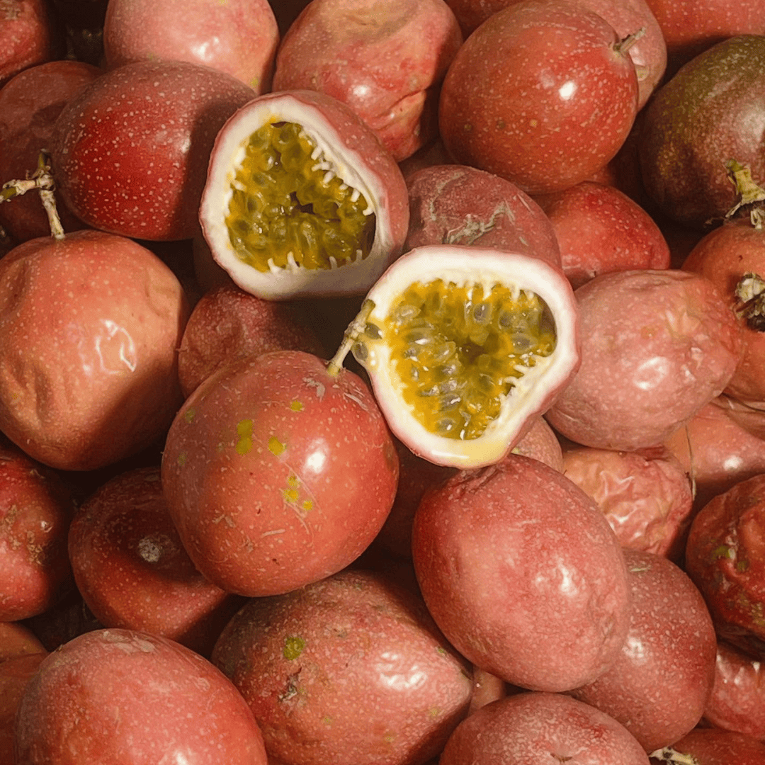 Passion Fruit Vine