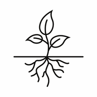 Fast Growing