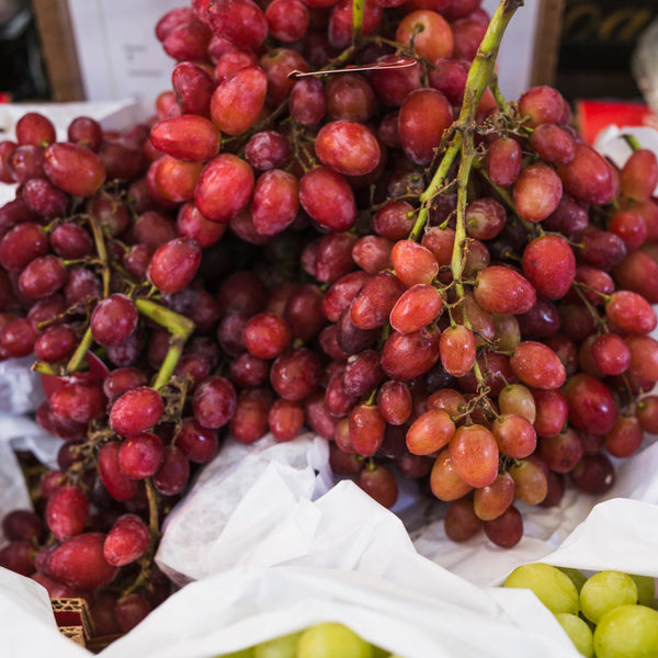 Red Toffee Grape Vine (Vitis vinifera – Sweet Candy-Like Red Grapes)