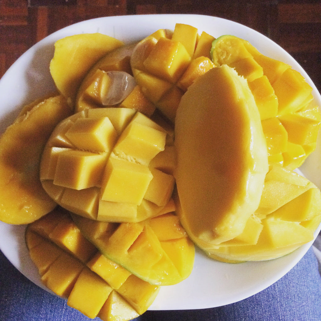 Mango Tree (Langra Variety – Sweet Pulp Desi Favorite)