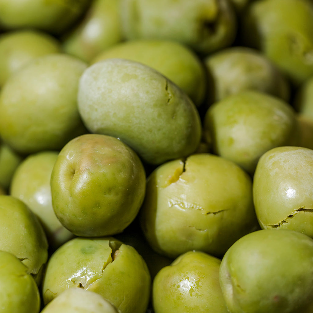 Olive Tree (Arbosana Variety – Spanish Origin)