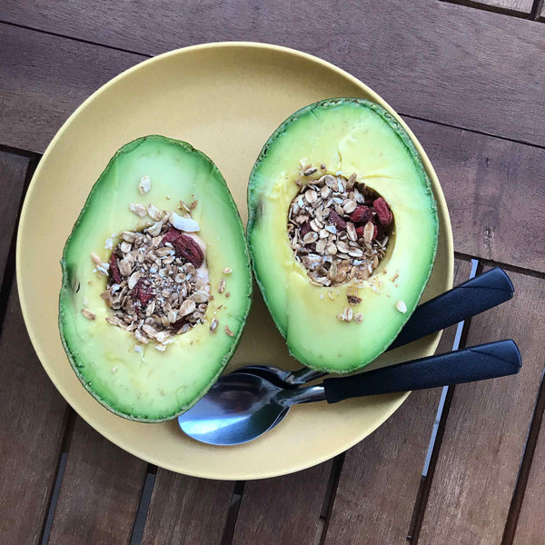 Avocado Tree (Hass Variety)