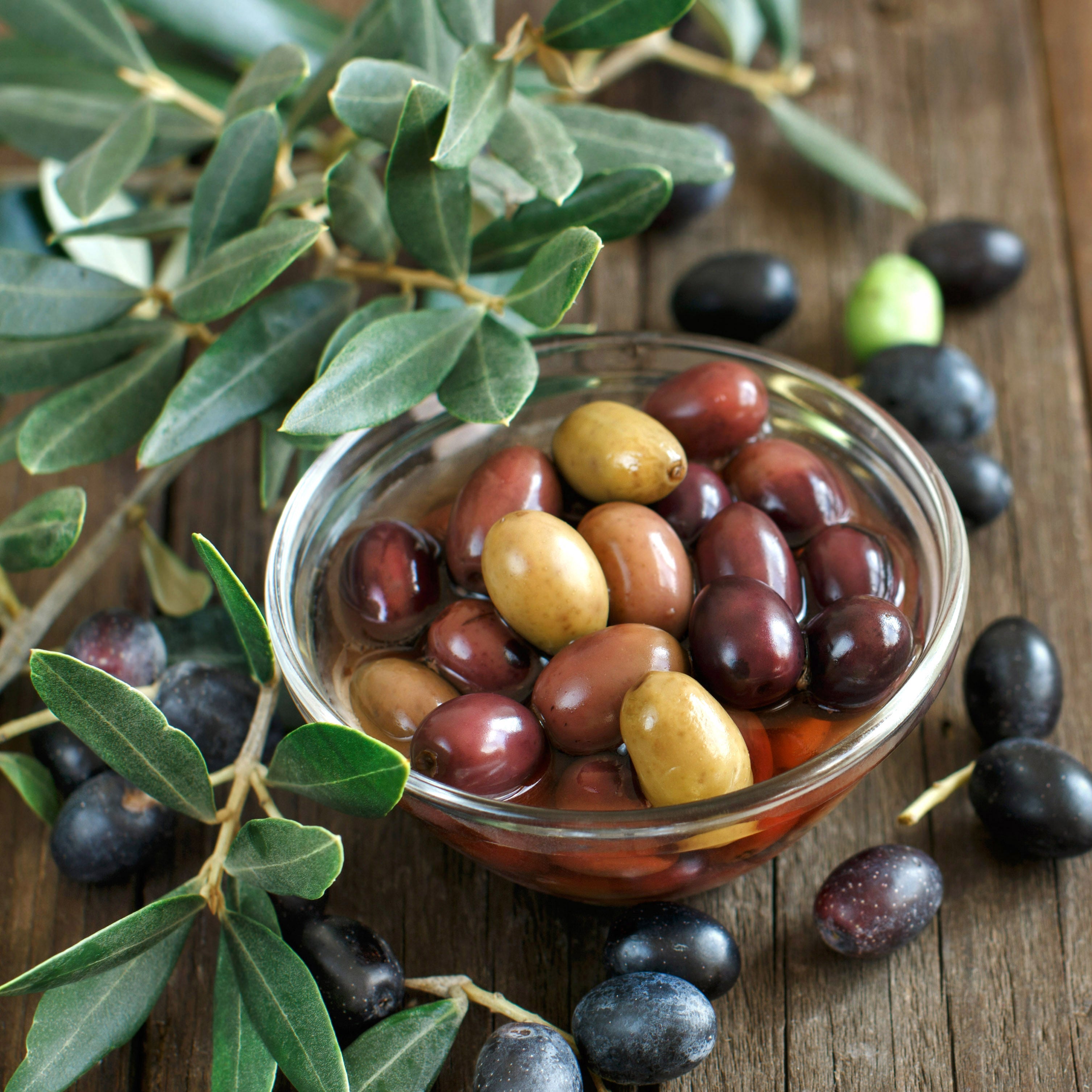 Olive Tree (Koroneiki Variety – Greek Origin)