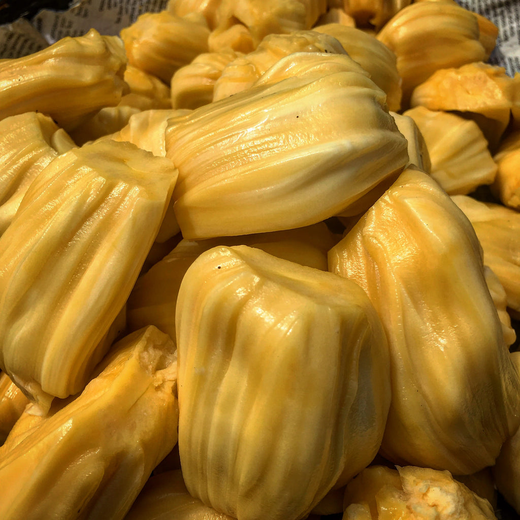 Jackfruit Tree