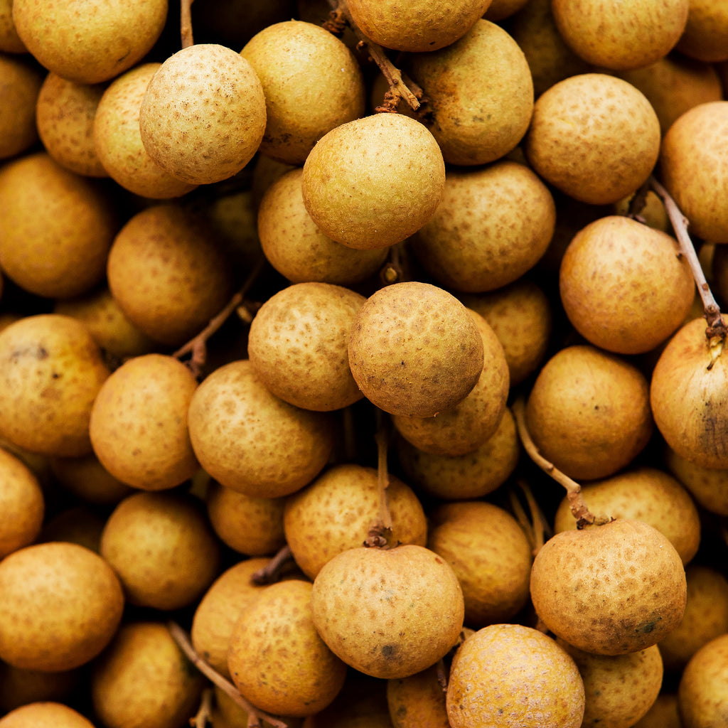 Longan Tree