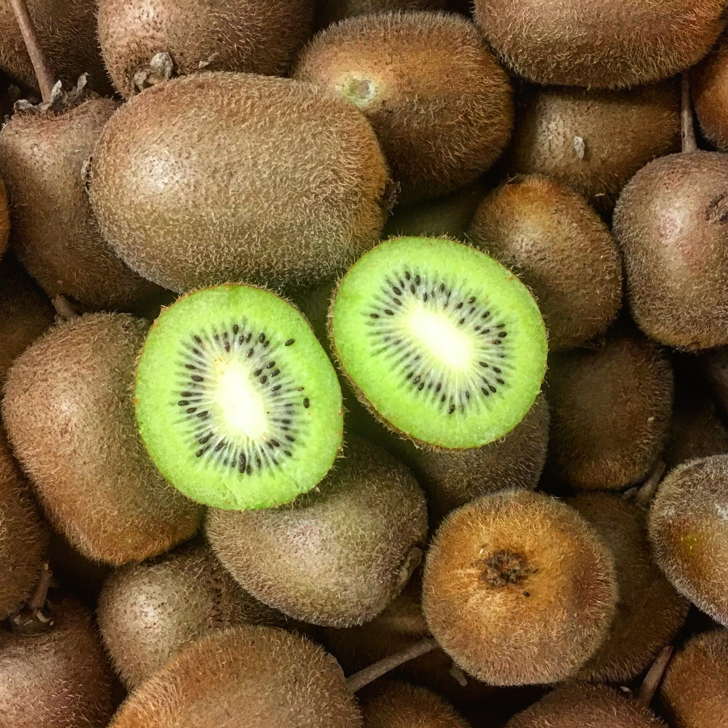Kiwi Vine