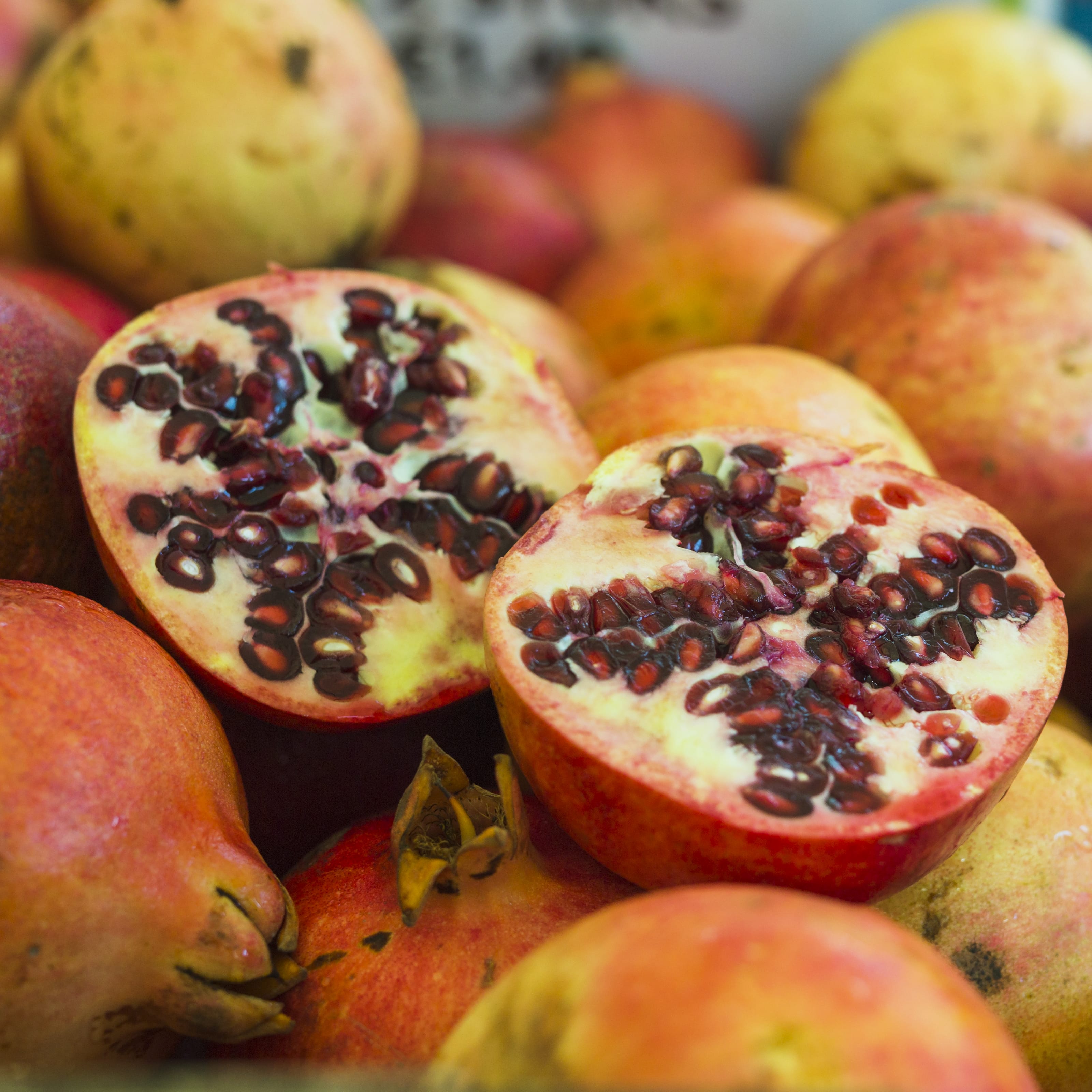 Desi Pomegranate Tree
