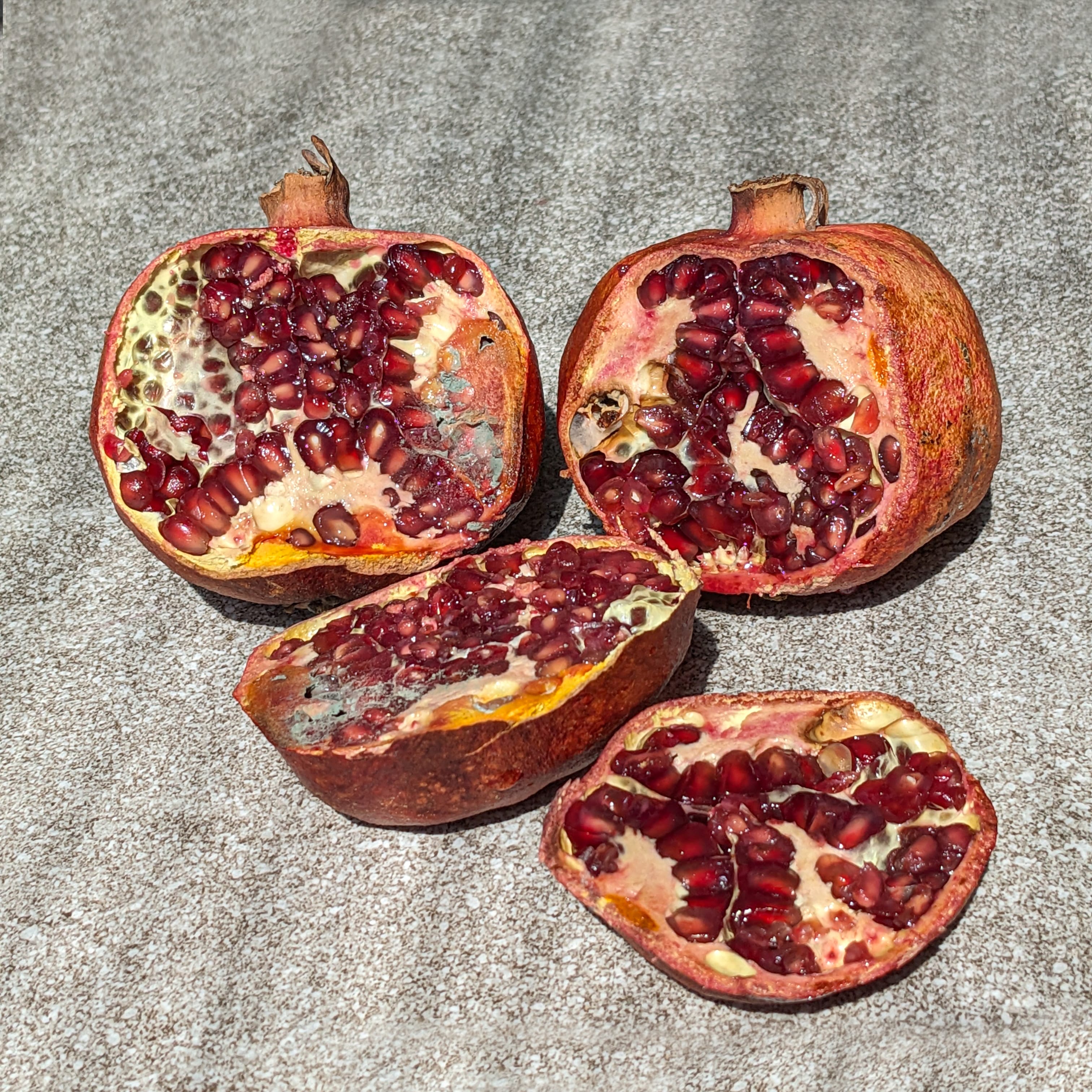 Desi Pomegranate Tree